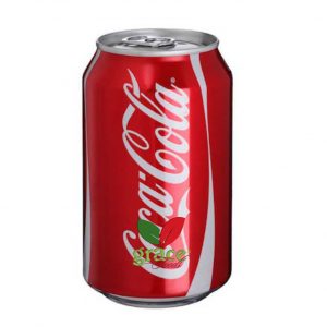 Coca-cola Can 33cl
